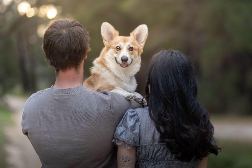 A couple seen from behind holding an adorable Corgi dog outdoors in a lush green park setting.