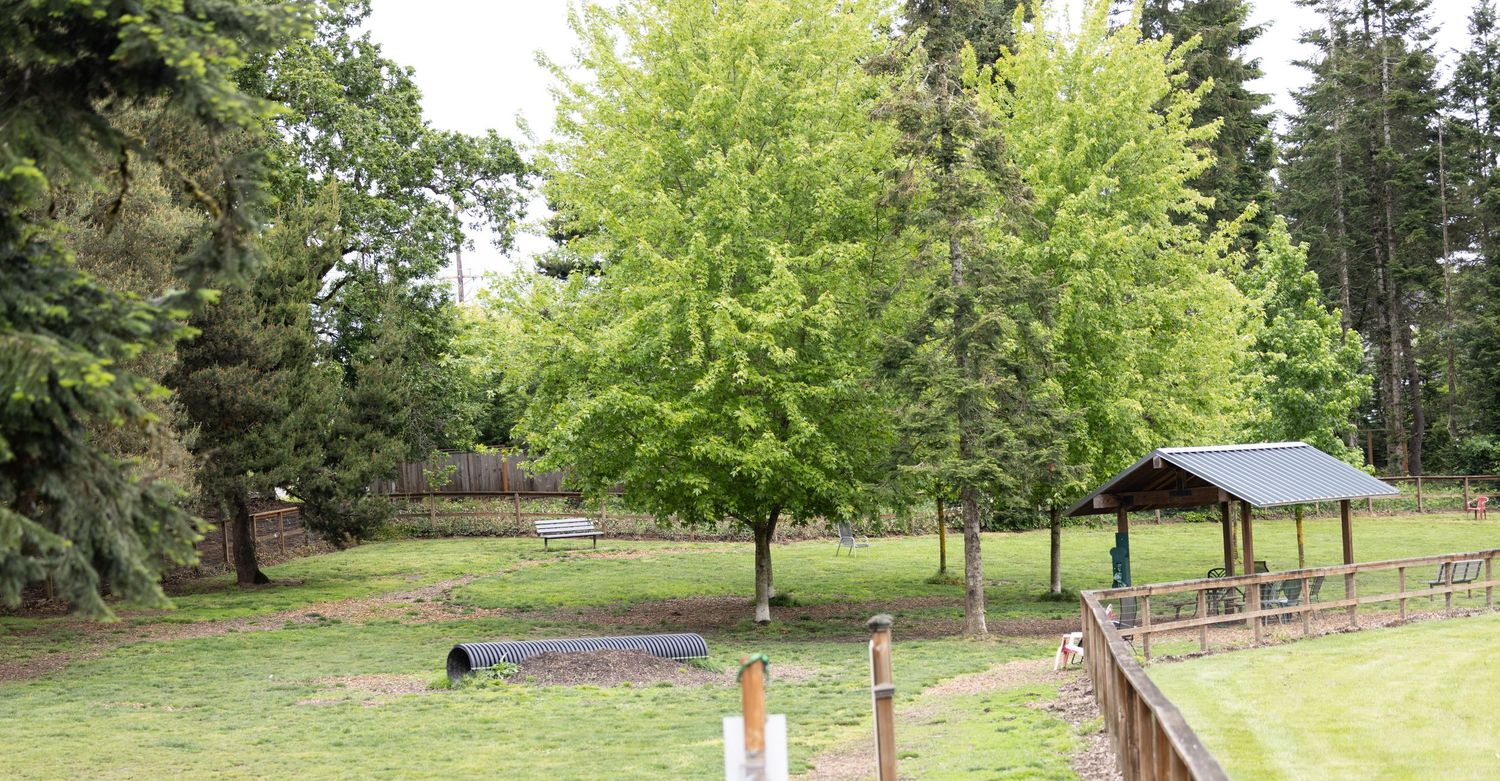 Small, shy dog park at Hazelia Field in Lake Oswego Oregon. Covered seating, tunnels, water features, and double-gated entry.