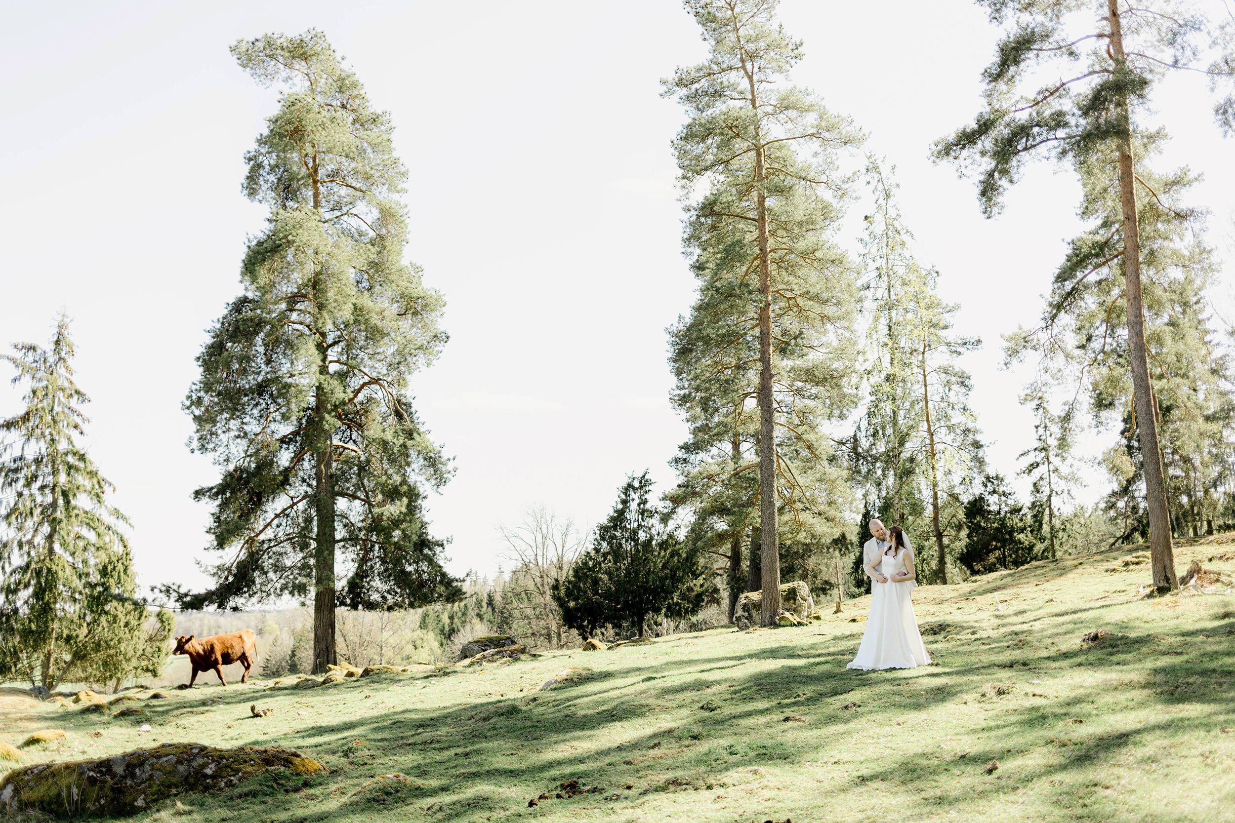 Johan och Alice bröllop i Mellösa kyrka och bröllopsfest i Vadsbro-Blacksta. Bröllopsfotograf Rebecca Nordin.