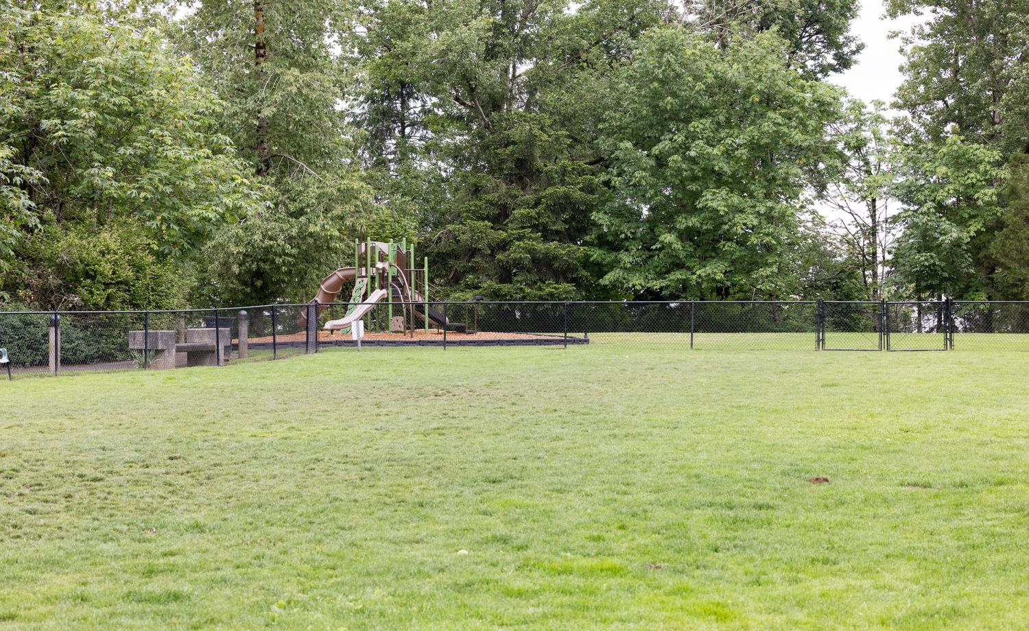 Dog park at Mcnary Park in Lake Oswego, Oregon. Off-leash dog exercise area.
