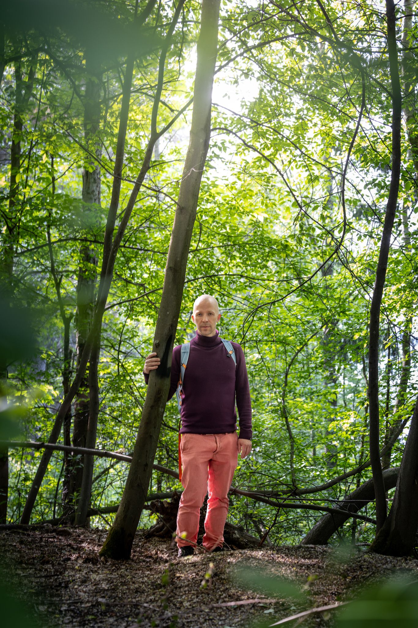 Person wearing pink pants and purple sweater walking through sunlit forest with green foliage.