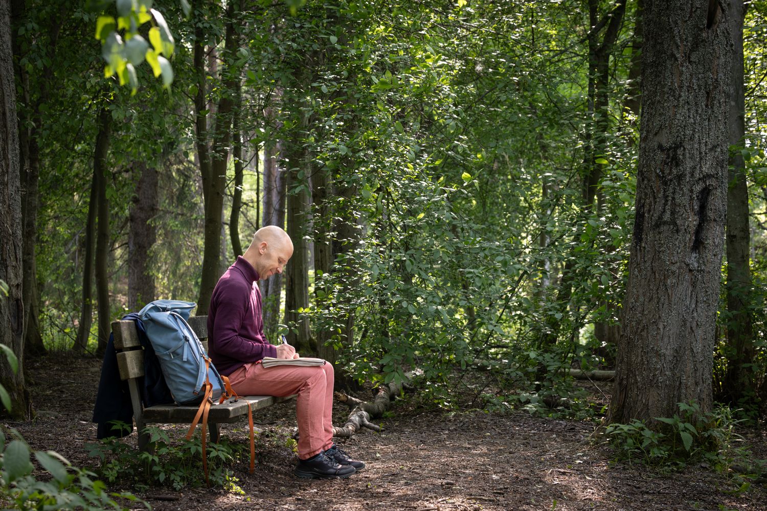 People explore a tranquil forest trail winding through tall trees and lush greenery on a sunny afternoon.