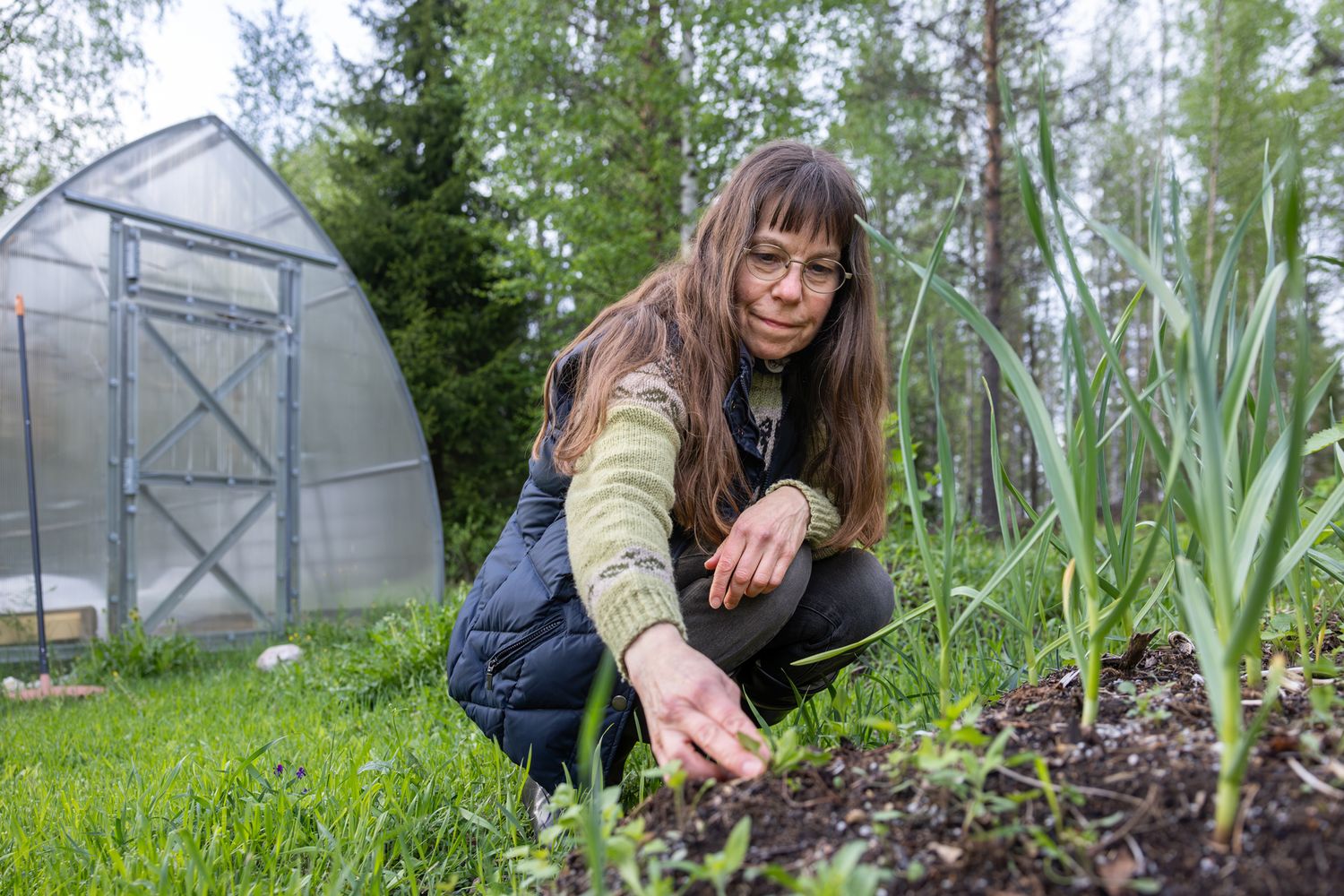 Woman tending to vegetable garden beds near a greenhouse in a lush green backyard setting.
