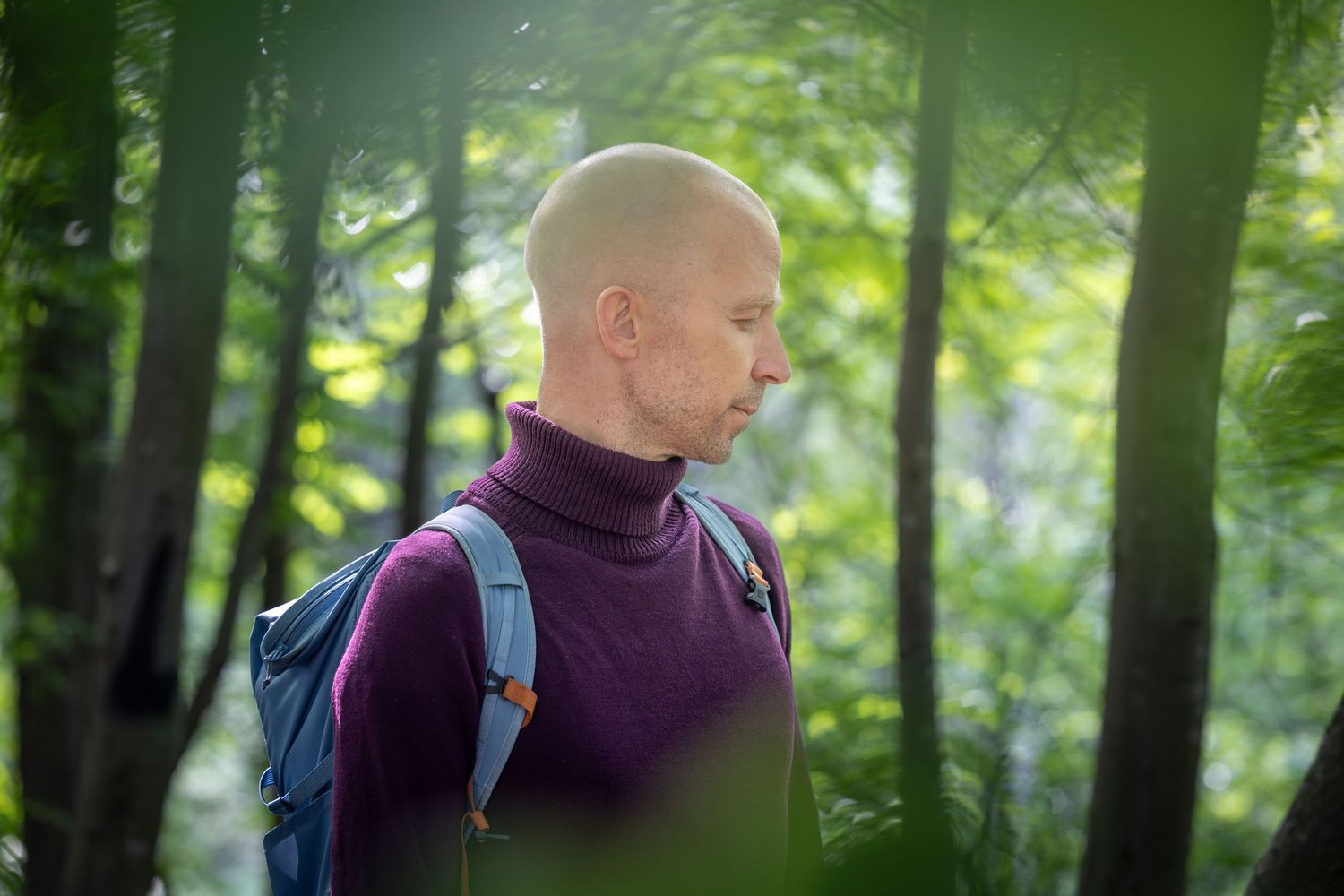 Two hikers with backpacks walk along a forest trail surrounded by lush green foliage on a summer day.