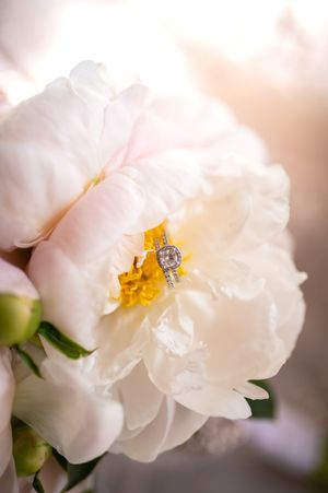 A diamond engagement ring nestled in the center of a blooming white peony flower.