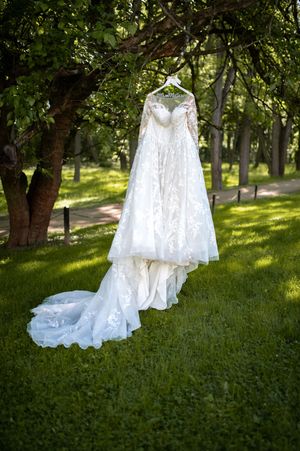A lace wedding dress with long train hanging from a tree in a sunlit garden setting.