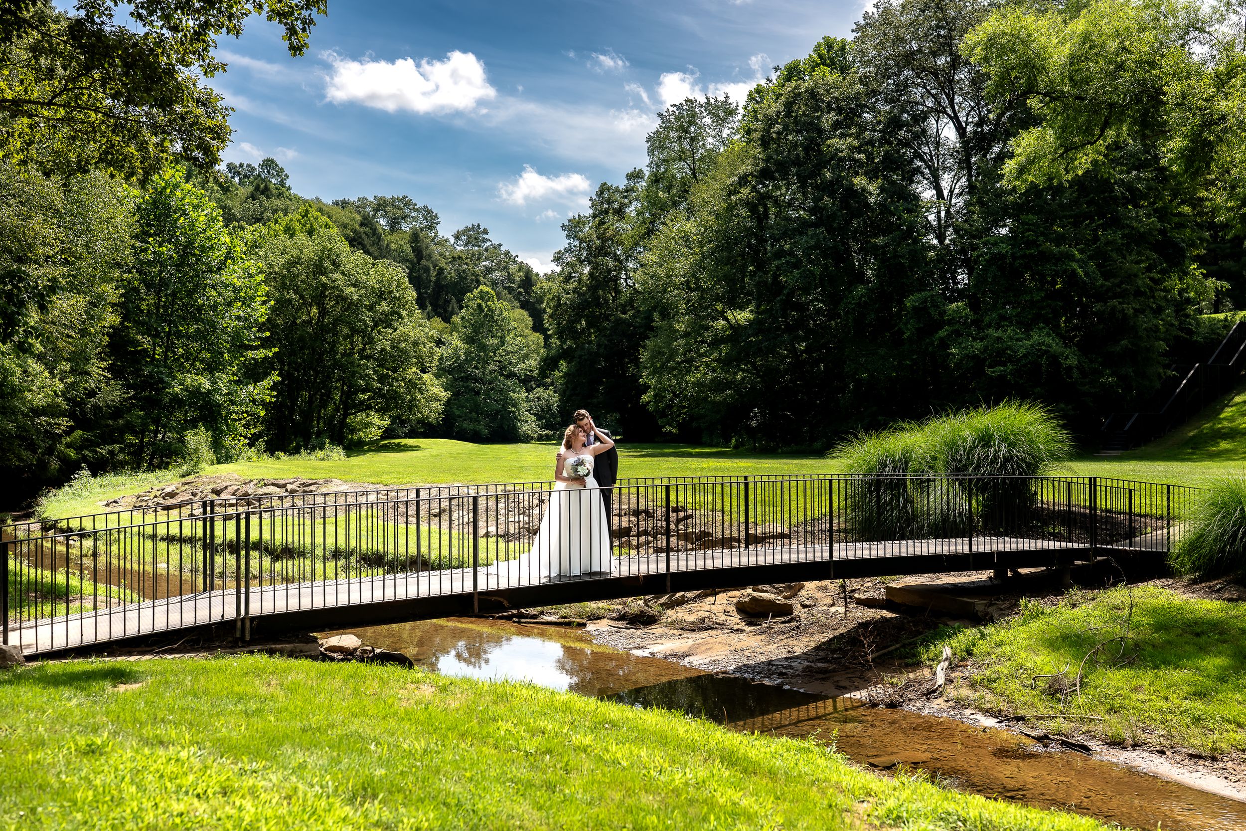 A series of scenic photos showing a landscaped park with green grass, wooden bridges, and natural water features.