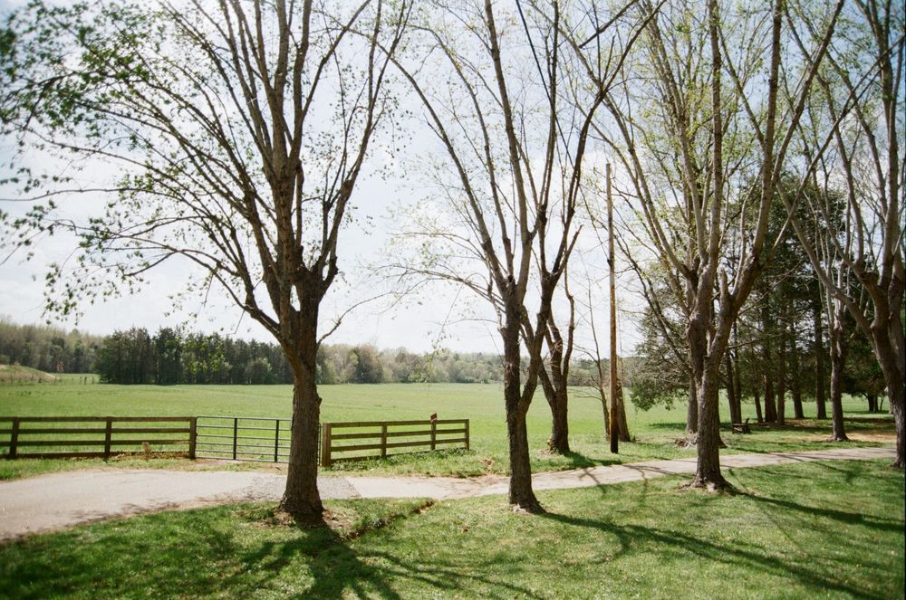 Rural countryside view with bare trees casting long shadows on grass near wooden fence and dirt path in spring setting.
