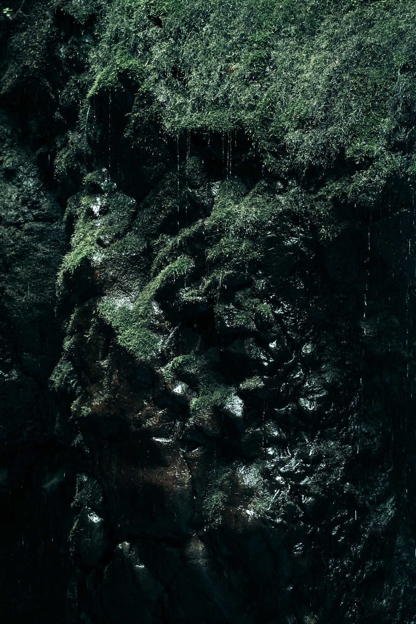 Paroi humide Cascade madère au levada do caldeirao verde