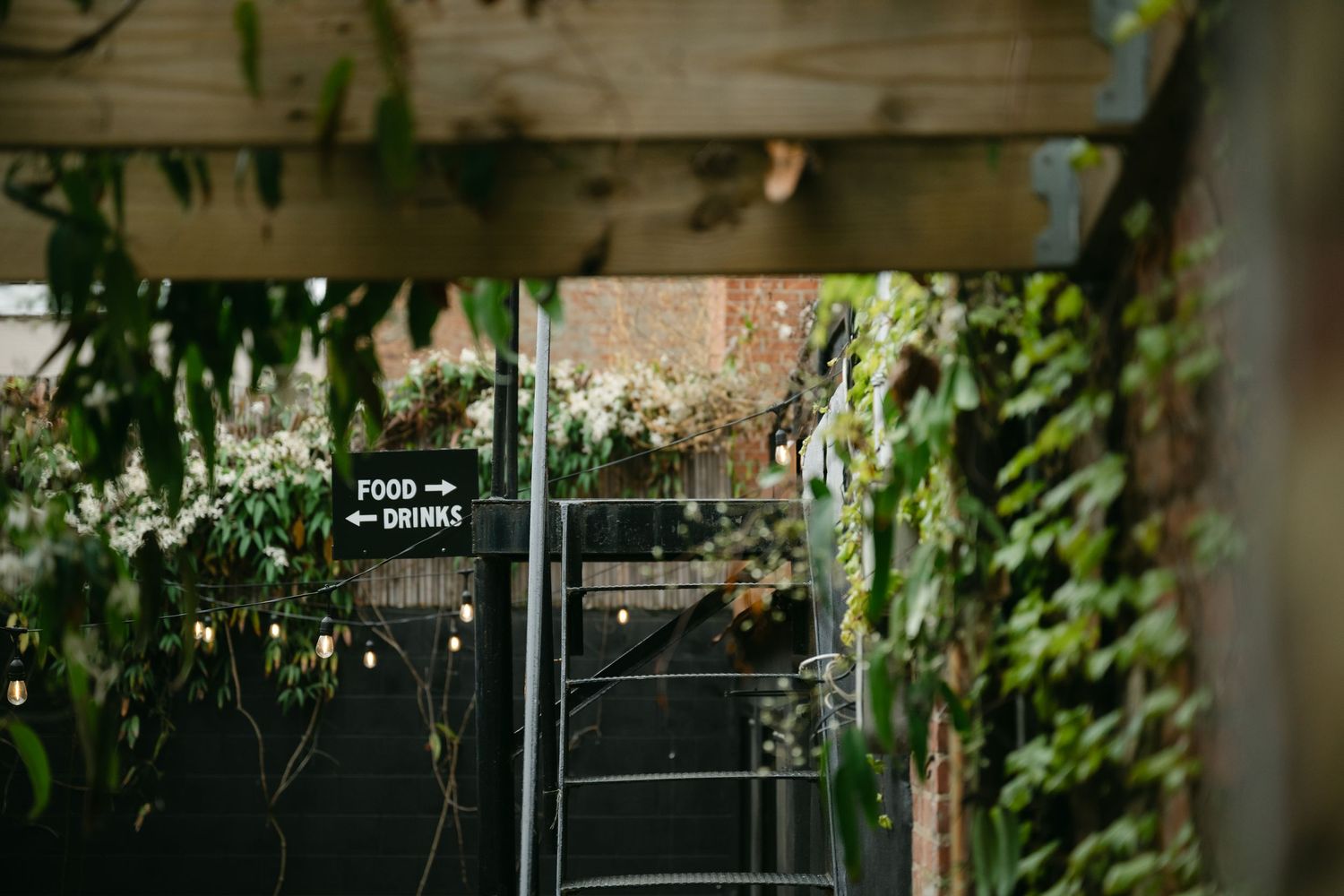 Leafy vines frame a dark doorway entrance with rustic wooden beams in a garden setting.