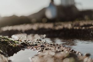 Minimalist elopement on the beach with soft golden light and barefoot connection.
