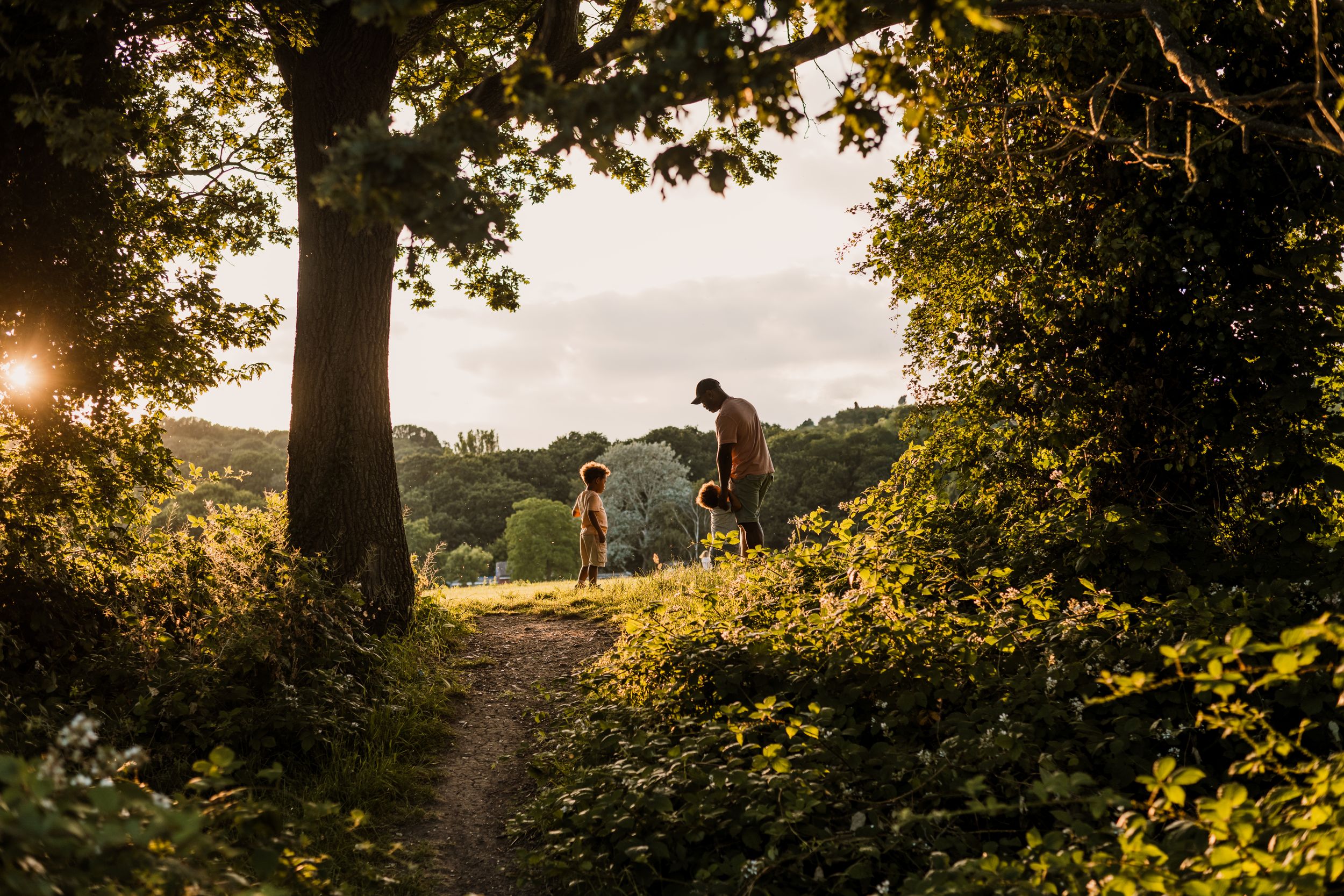 Silhouette of people walking on a nature trail at golden hour with sunlight streaming through trees.