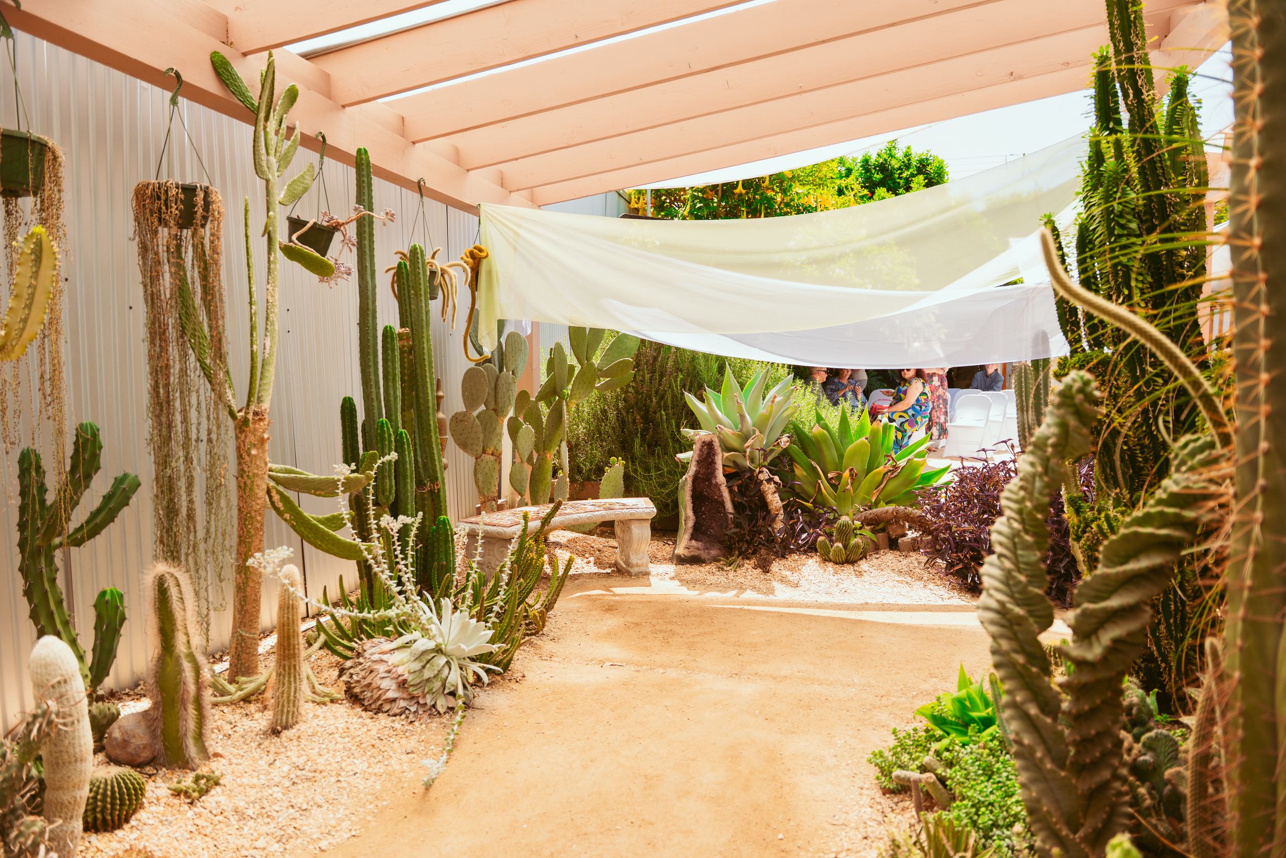 Desert garden pathway with tall cacti and succulents under a wooden pergola with white shade sails.