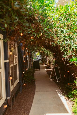 Enchanting garden pathway with string lights and lush greenery creating a romantic atmosphere.