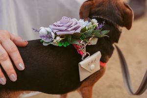 Dog wearing a floral collar decoration with purple roses and greenery.