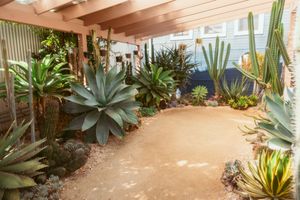 Succulent garden courtyard featuring large agave plants and desert landscaping under wooden beams.