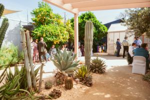 Desert garden patio with tall cactus plants and succulent landscaping under a wooden pergola shade structure.