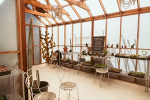 Interior of a greenhouse with wooden beams and potted plants on shelving.