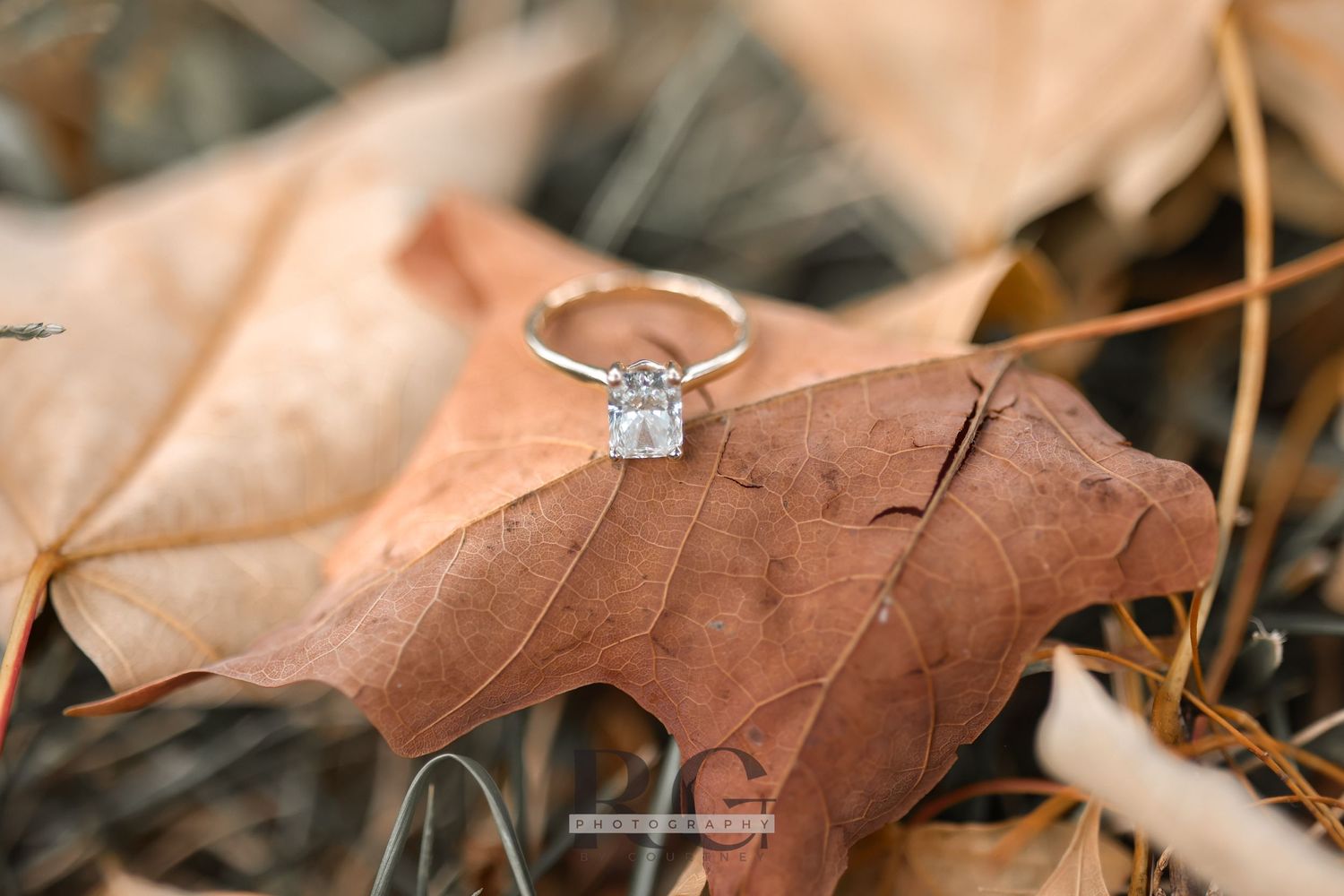 Diamond engagement ring placed artistically on a fallen autumn leaf.