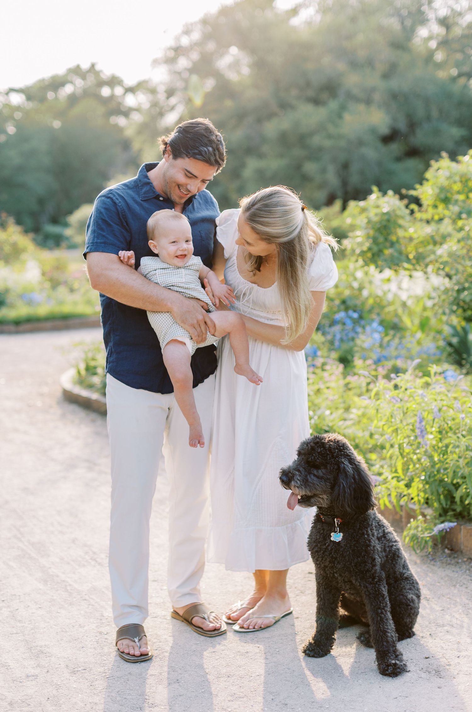 A young family with a baby and black poodle poses in a sunny garden, mom in white dress, dad in navy shirt.
