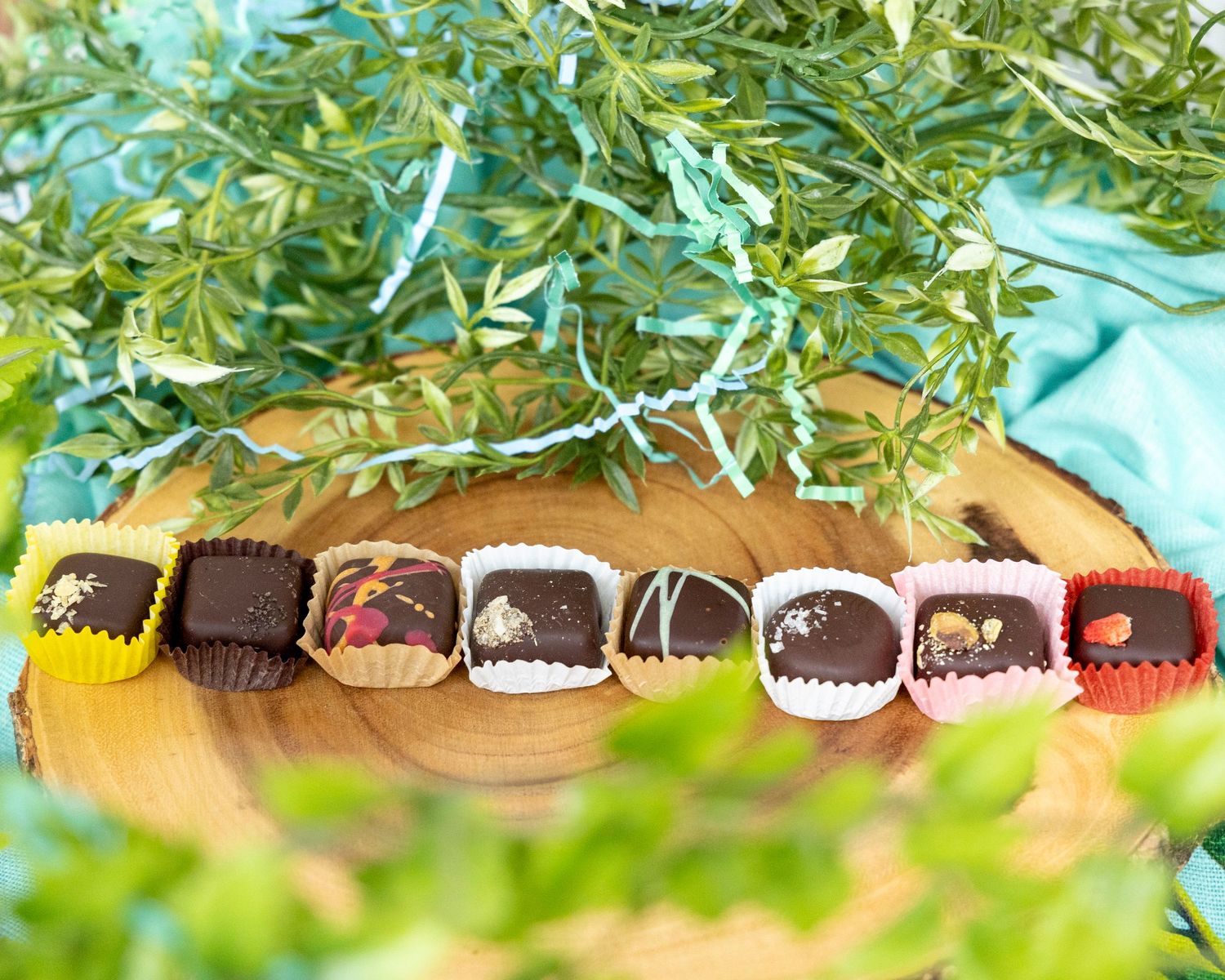 Assorted chocolate truffles lined up on a wooden board surrounded by green foliage and turquoise background.