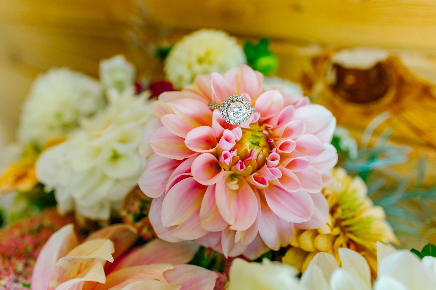 Wedding photography in Estes Park Colorado. Rocky Mountain National Park photographer