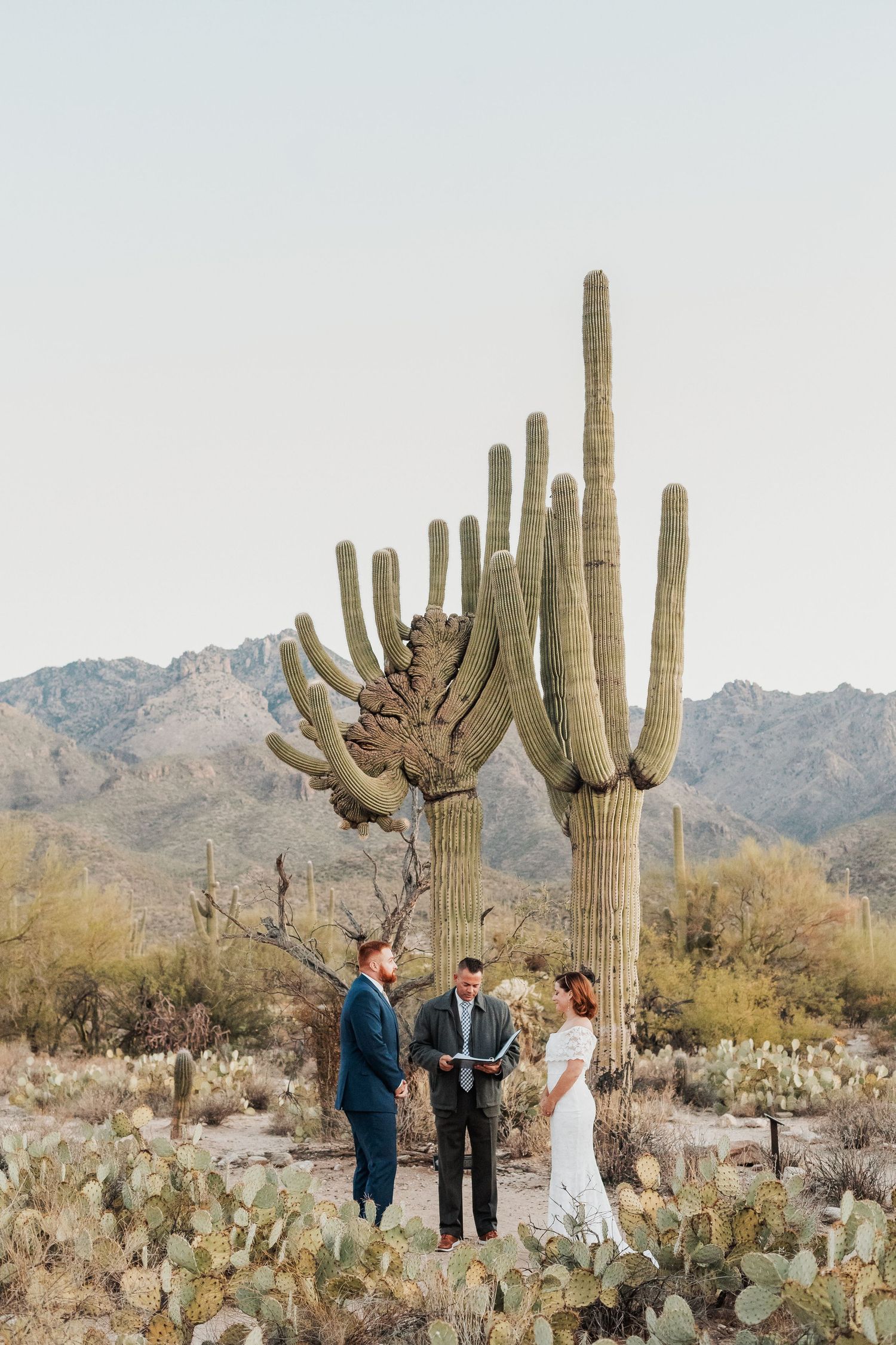 Desert wedding ceremony in sabino canyon with towering cacti and rugged mountain backdrop at sunrise.