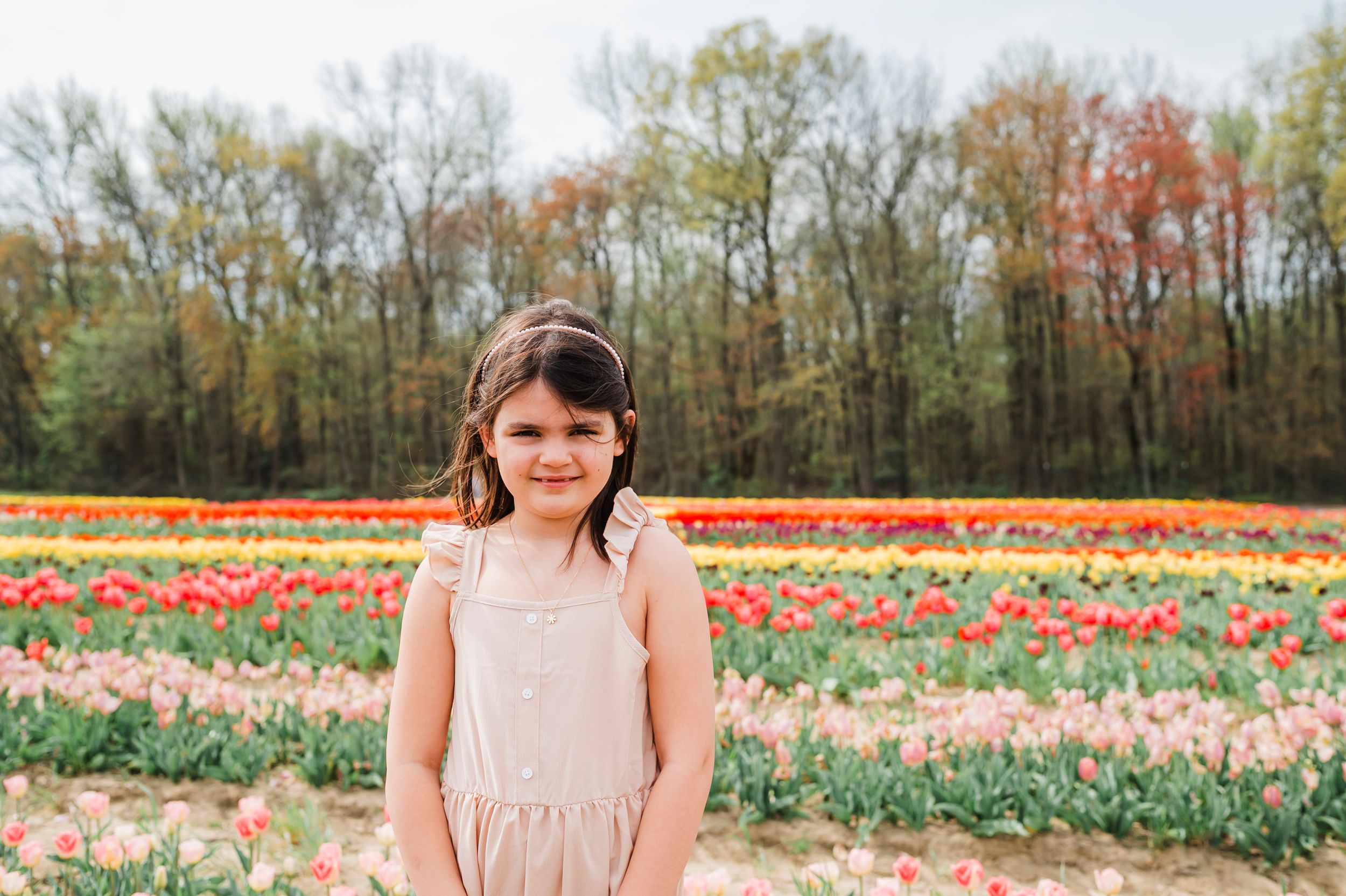 Beautiful spring tulip field with colorful blooms creates a stunning backdrop on a sunny day.