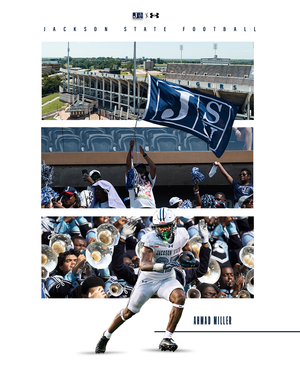 Crowd of fans cheer and wave flags in stadium bleachers during a football game.