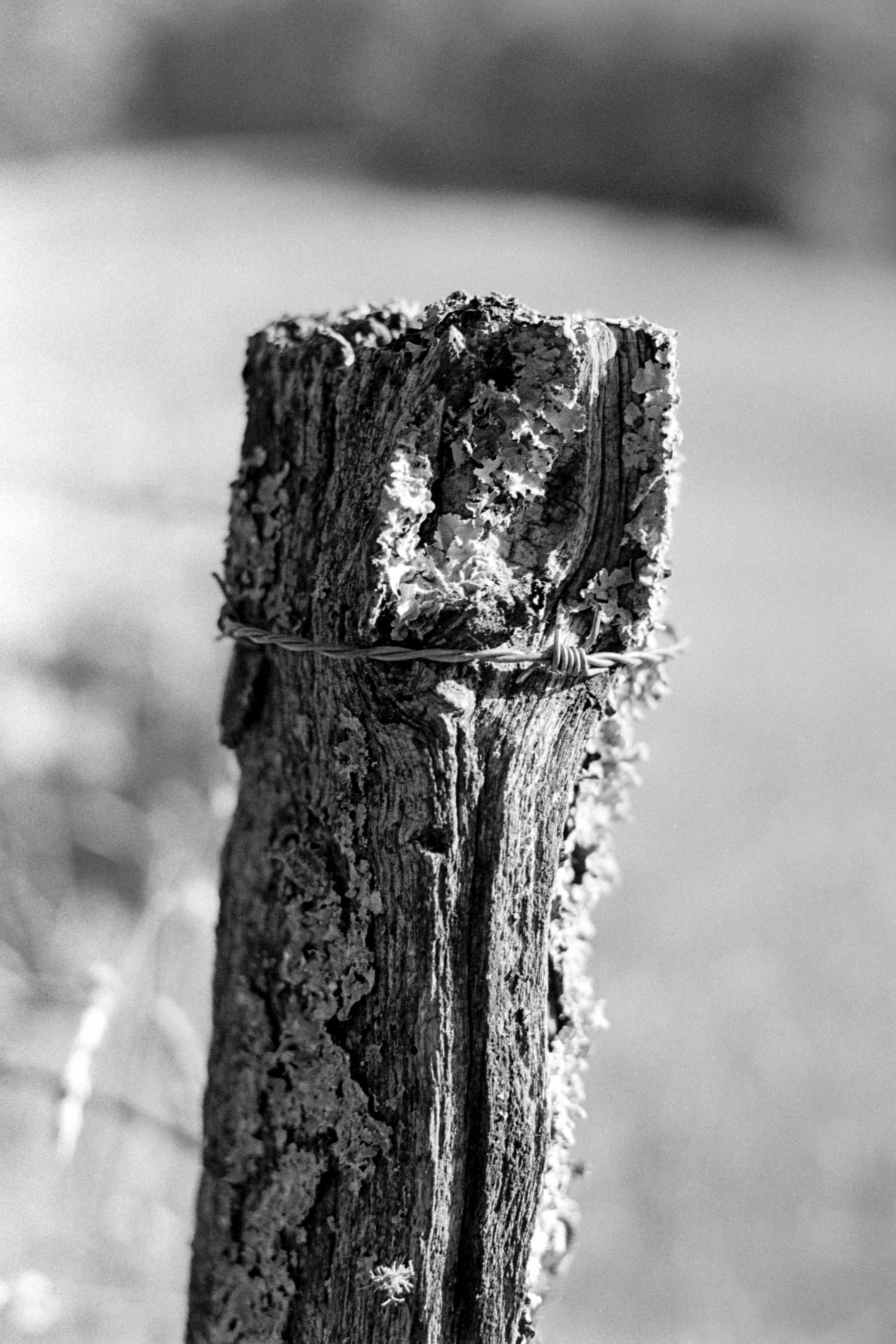Post