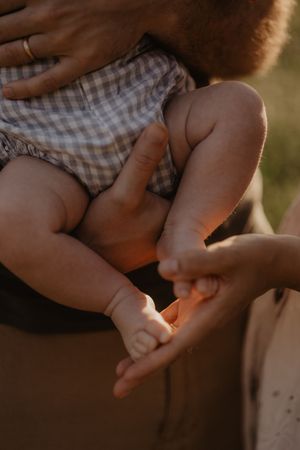 Sunlit image capturing intimate details in warm golden tones.