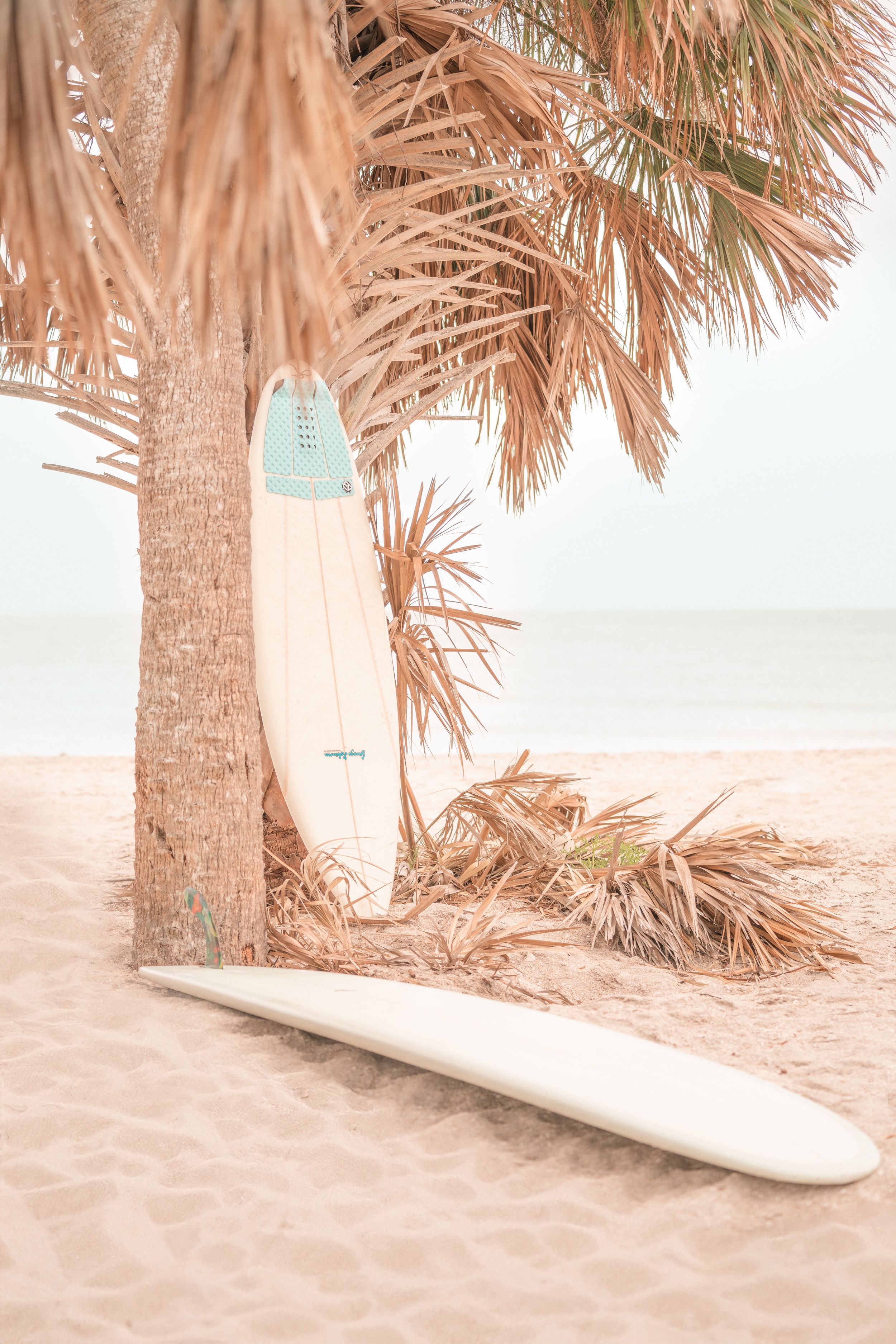 A white surfboard leans against palm trees on a sandy beach at sunset creating a peaceful coastal vibe.