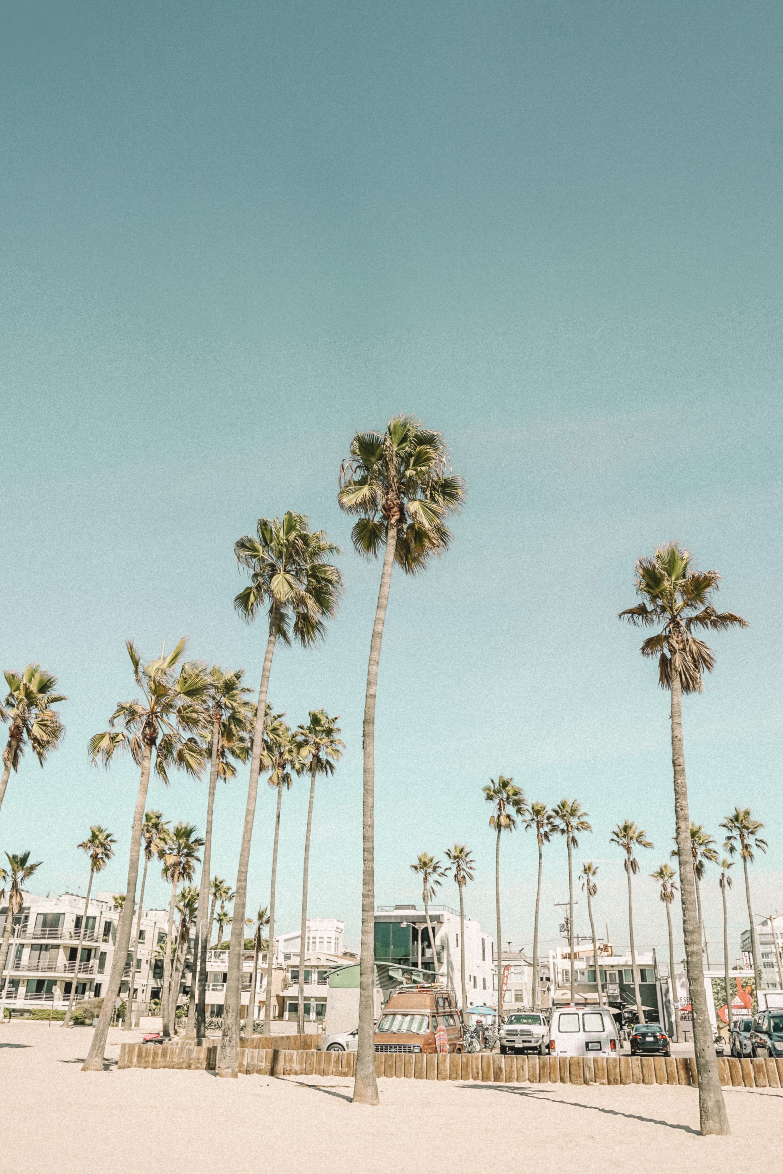 A row of tall palm trees line a beachfront with coastal buildings and clear blue skies in a retro-inspired scene.
