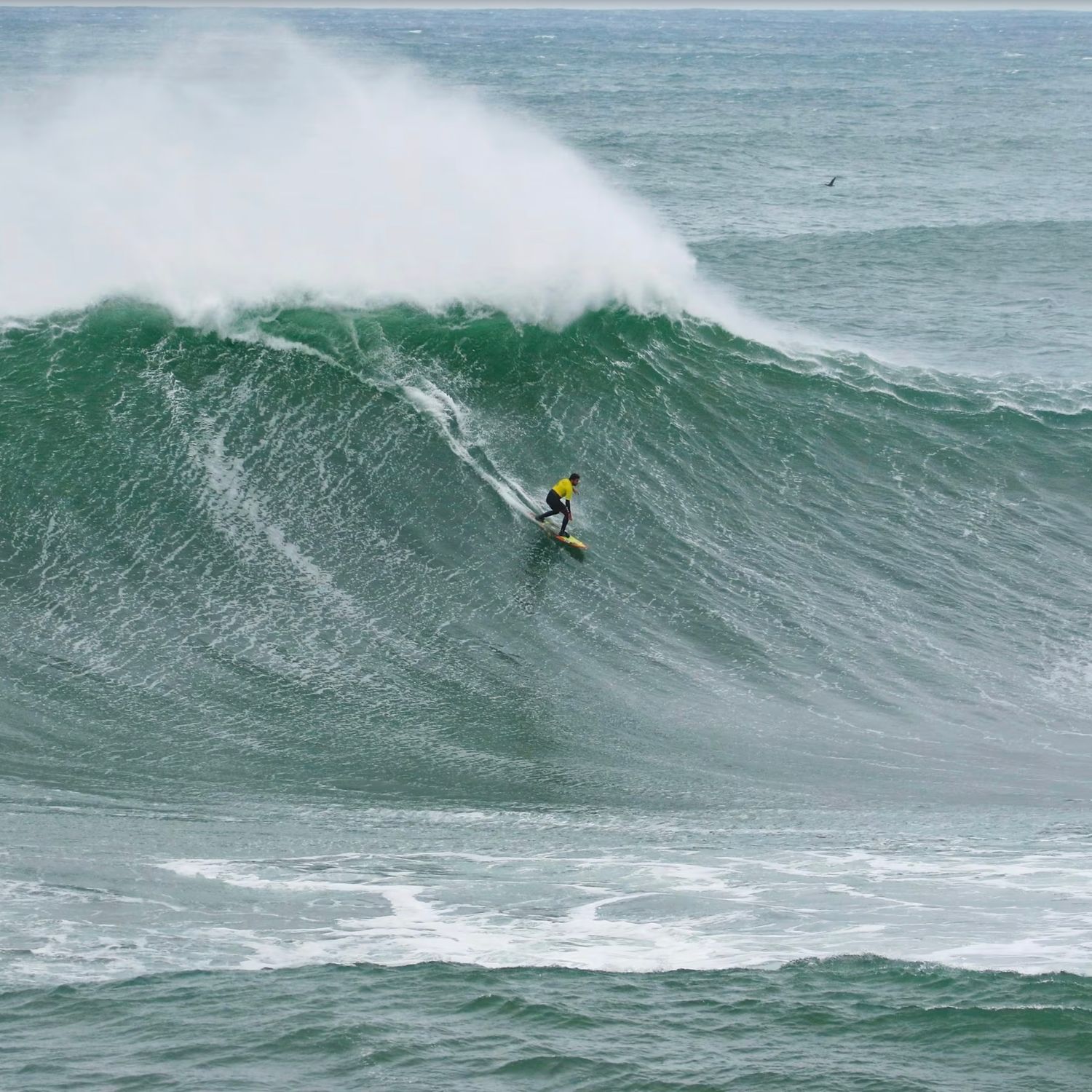 Surfea olas grandes