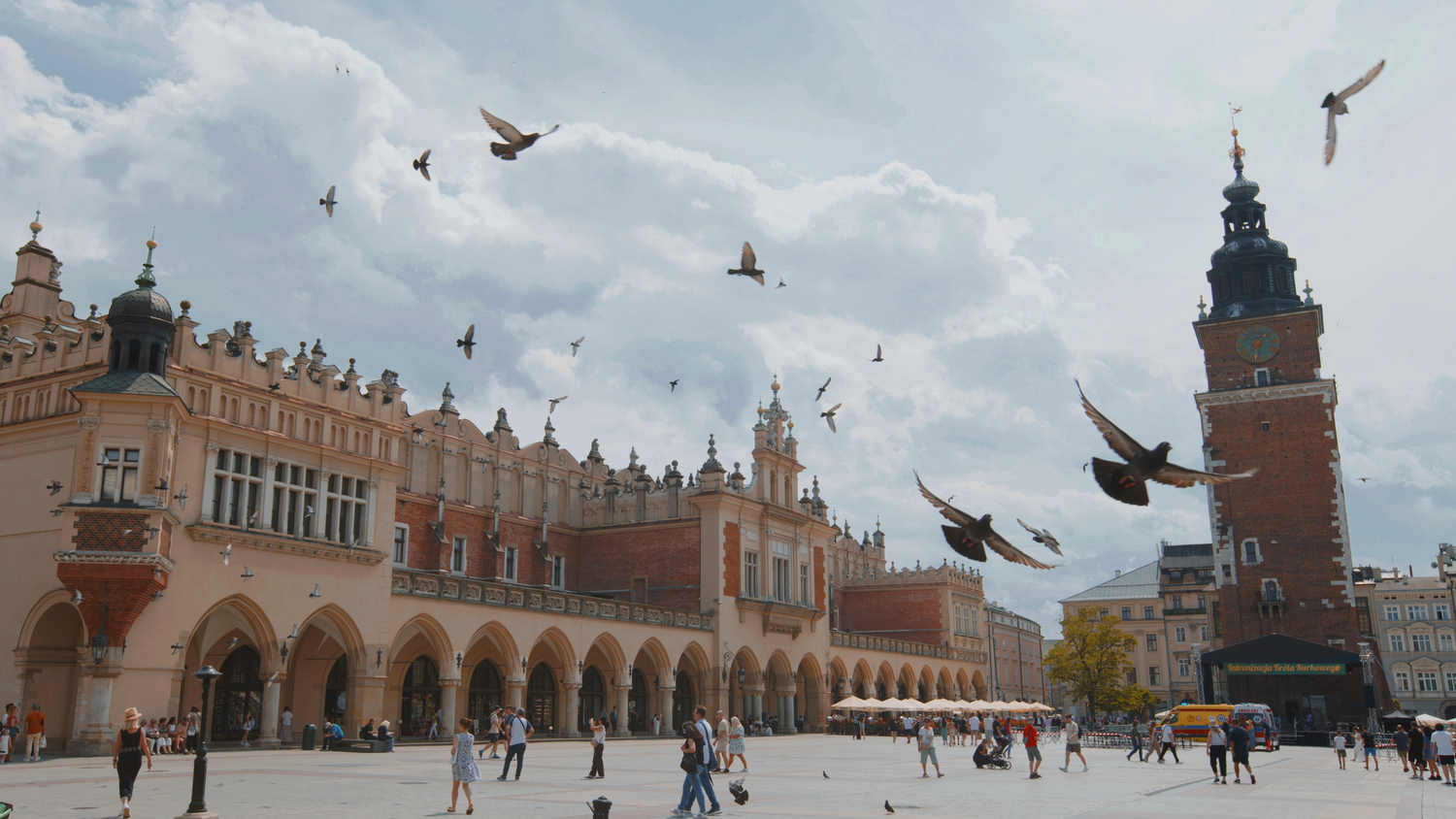 Photo of numerous pigeons flying in the main town square of Krakow.