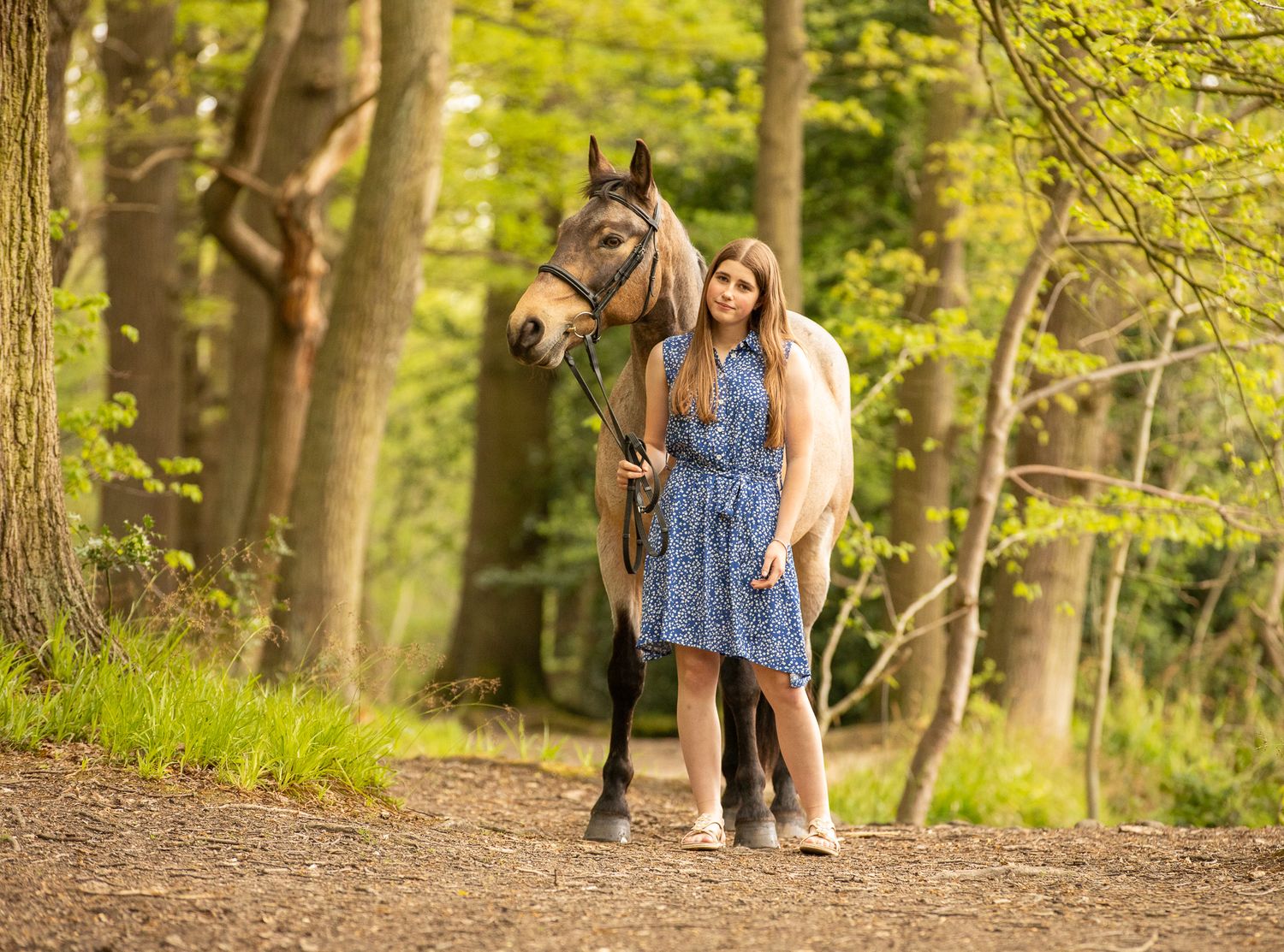 A beautiful black and white paint horse stands with a person on a sunny autumn day outdoors.