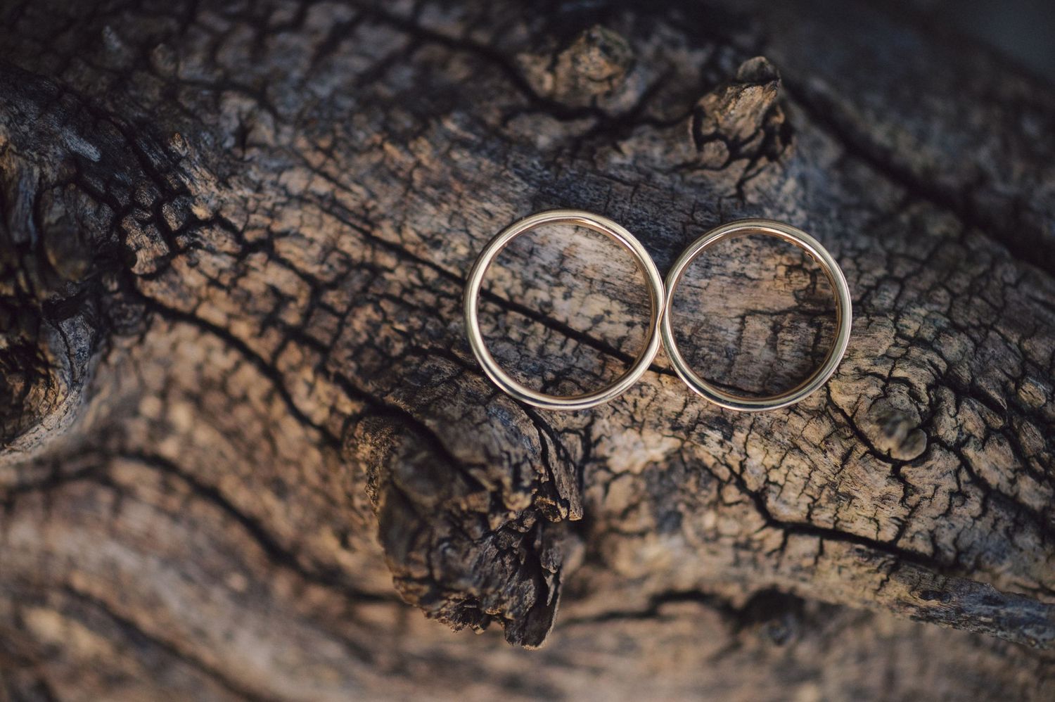 Two simple wedding bands photographed on rustic wood texture with dramatic lighting.