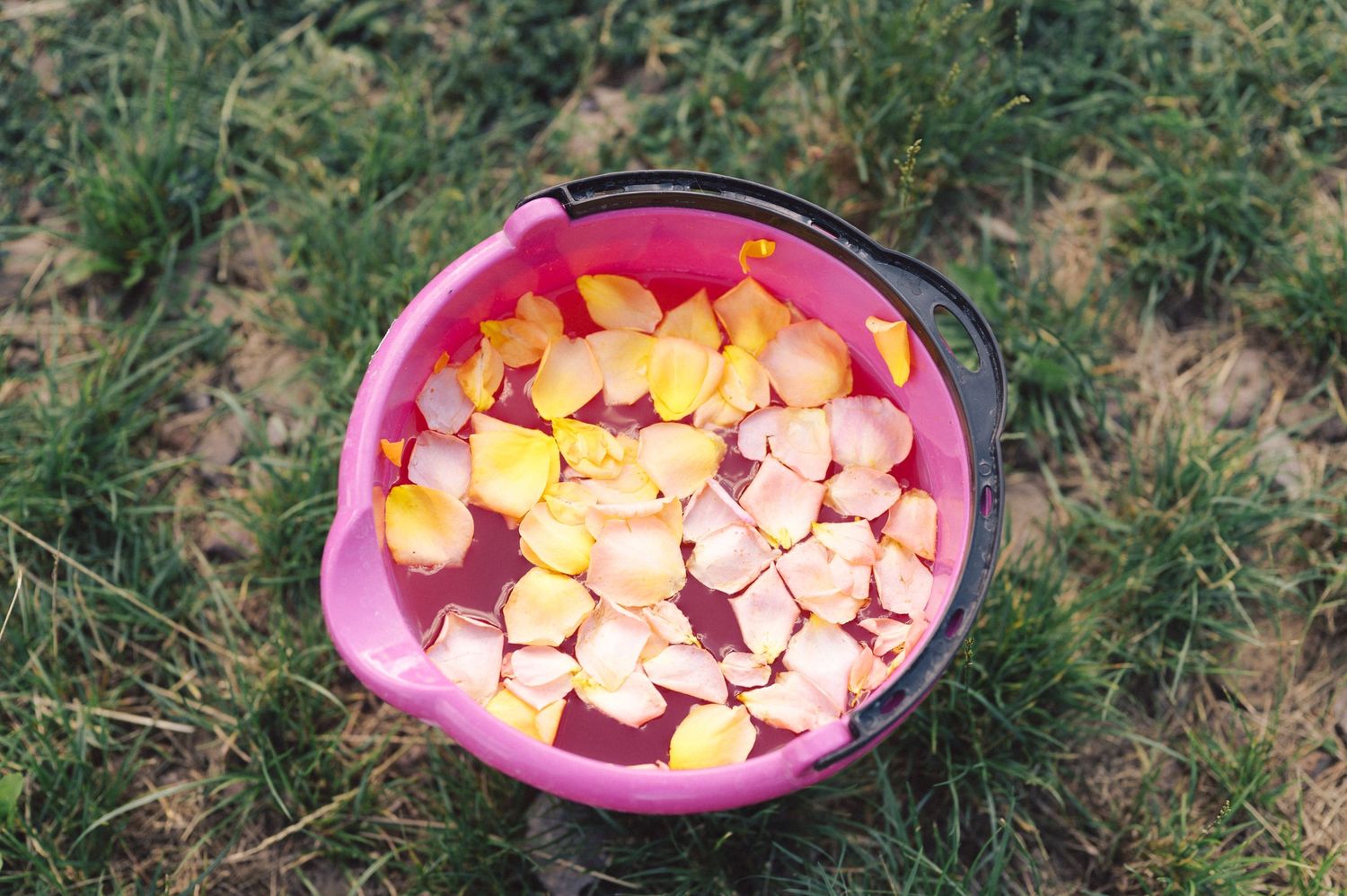 A pink plastic bowl sits on grass with orange heart-shaped dog kibble pieces arranged in a festive pattern.