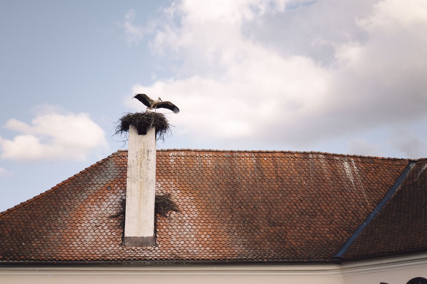 A stork perches on a terracotta-tiled rooftop against a cloudy sky in a panoramic view.