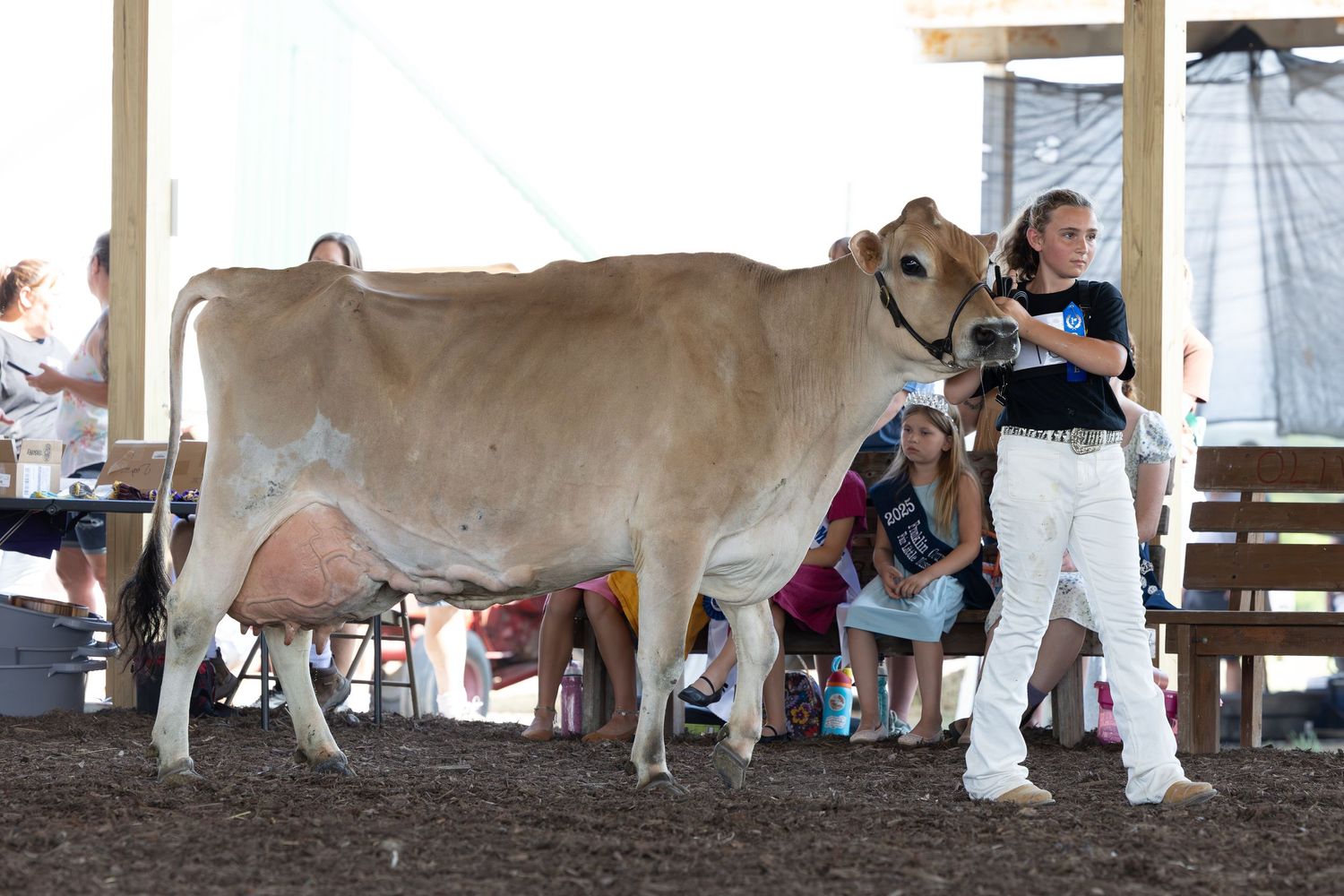 Dairy Show, Showmanship