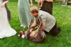 A person playing with a dog on the grass during an outdoor event.