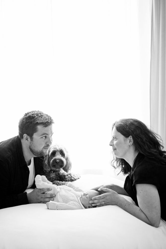 A couple lies on a bed with a small dog between them in a black and white portrait.