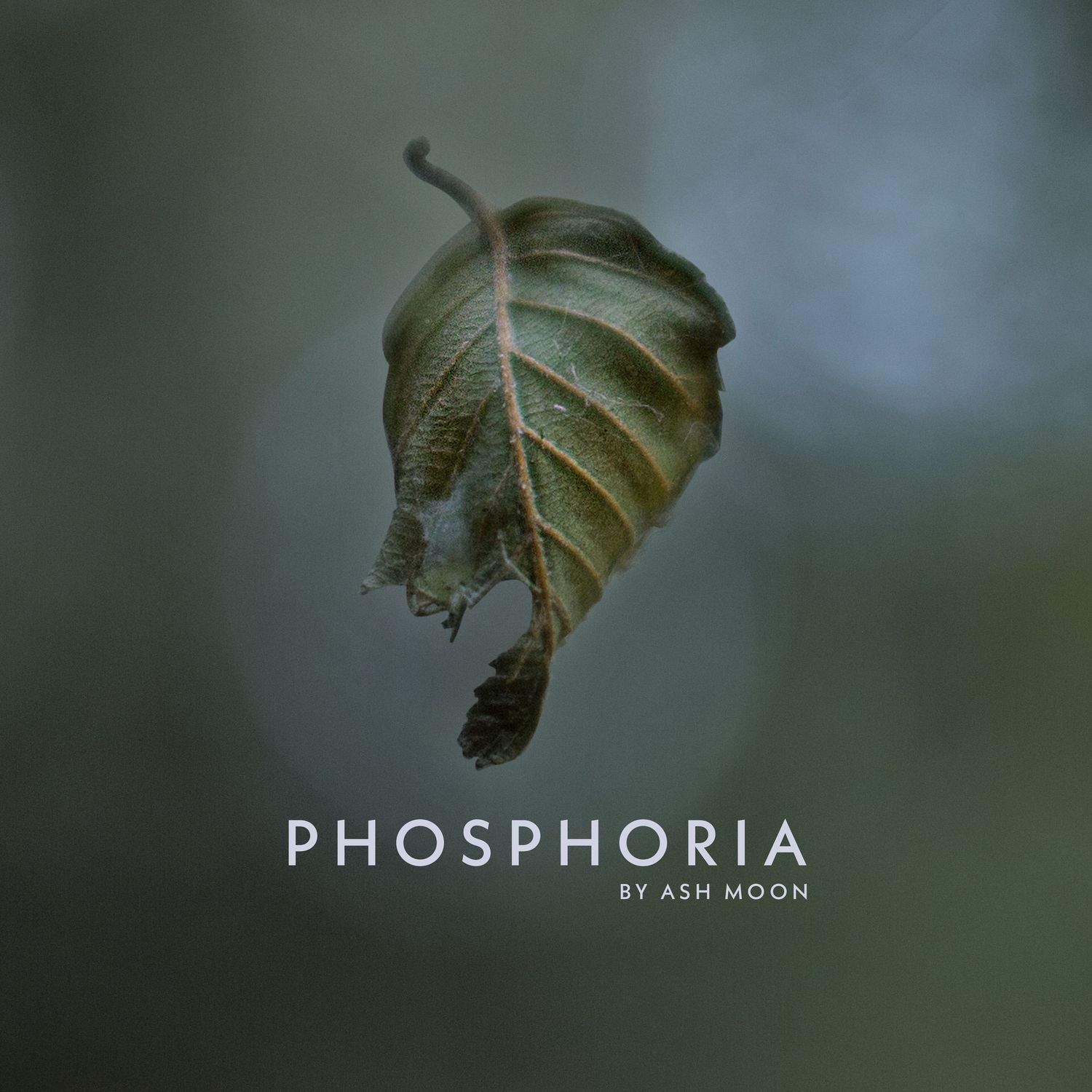 Phosphoria by Ash Moon