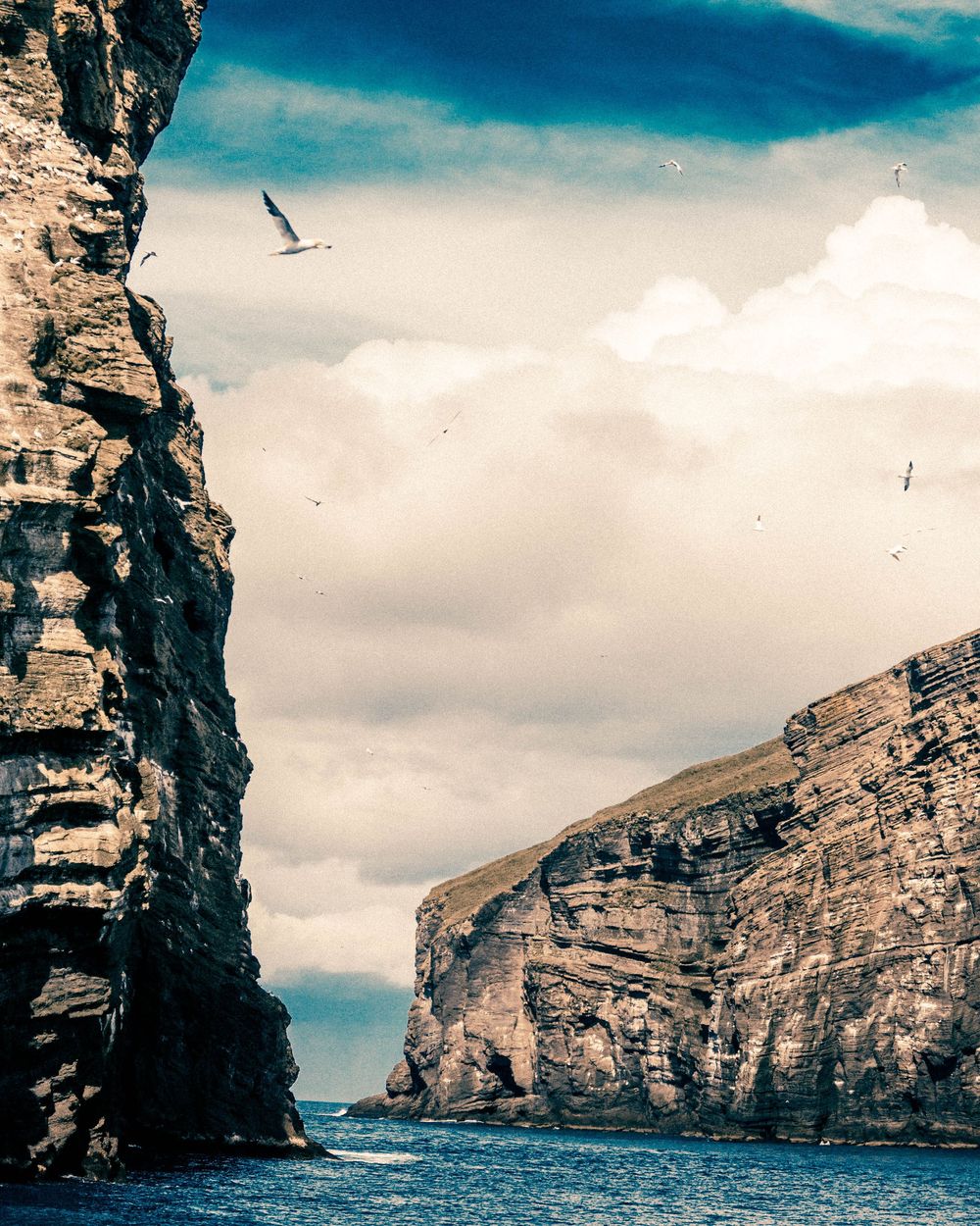 Dramatic coastal landscape with steep rocky cliffs and seabirds soaring above deep blue waters beneath cloudy skies.