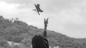 Person releasing a bird of prey into flight against a cloudy sky with forested hills in background.