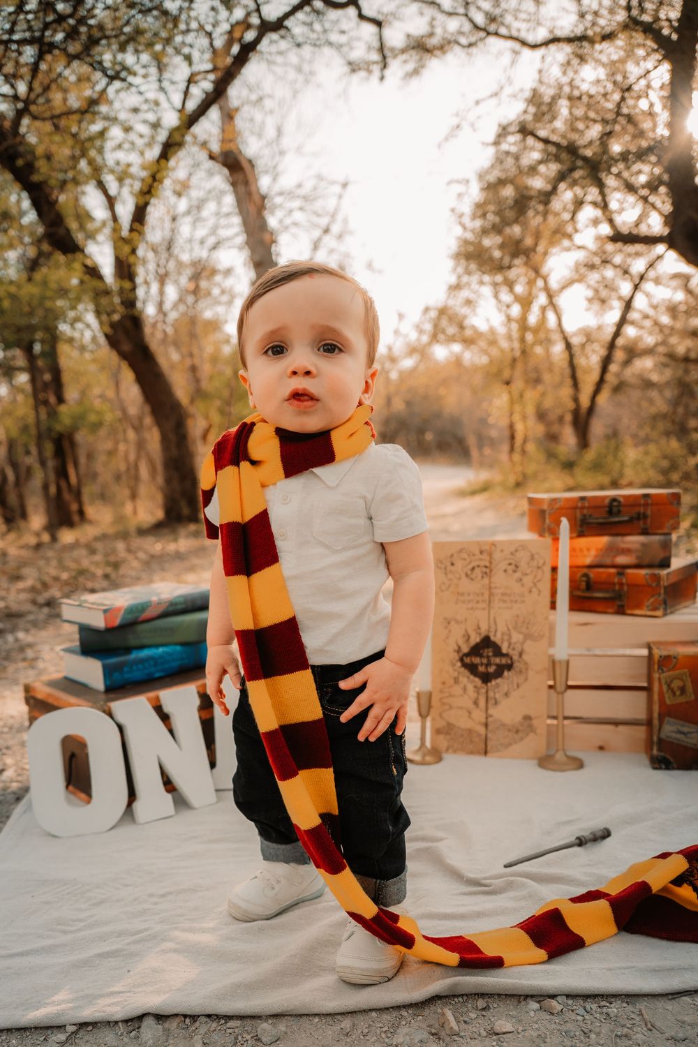 Gryffindor cake smash session in Fort Worth, Texas