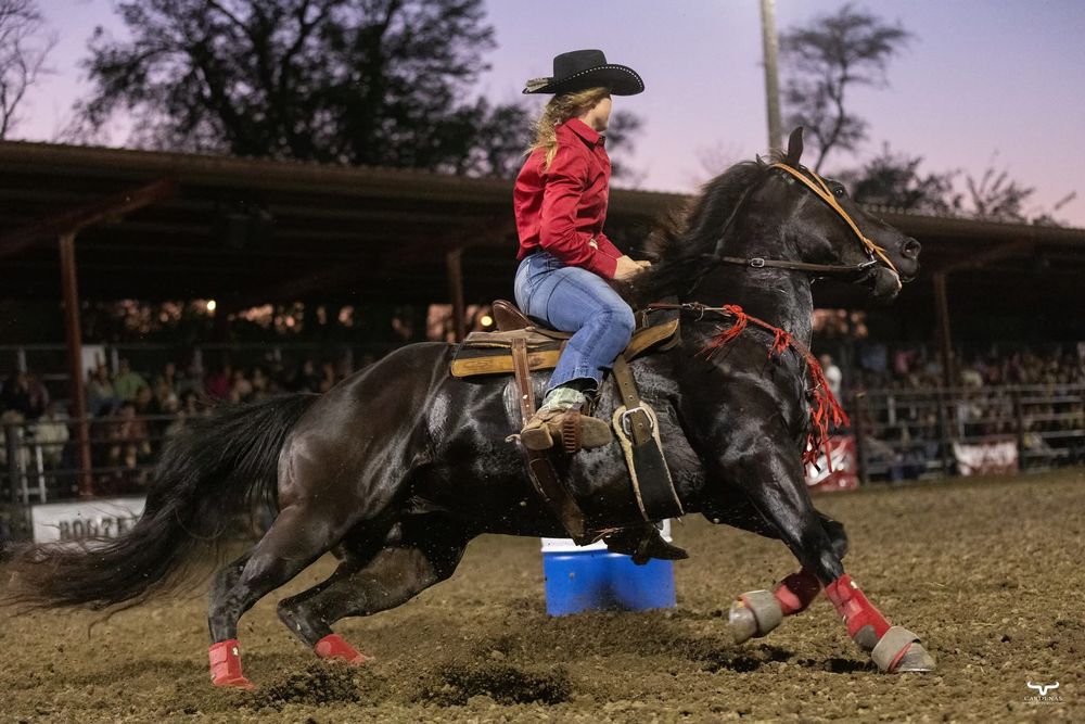 Sequence of rodeo action shots showing bull riding maneuvers at sunset. Nebraska Pro Rodeo PRCA Rodeo Photographer Dakota Cardenas
