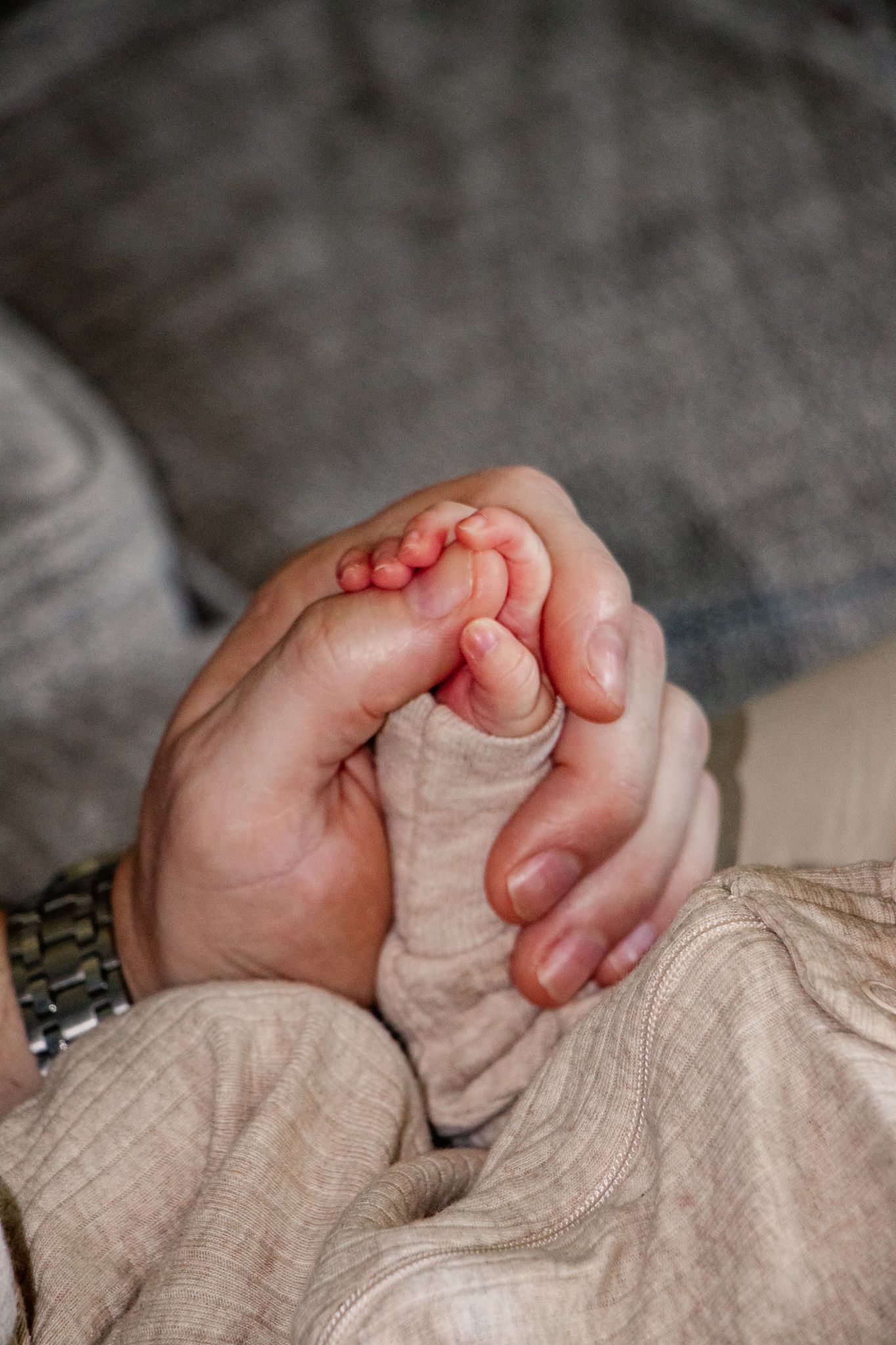 Close-up of a parent's hand gently cradling a newborn's tiny hand, showing warmth and protection.
