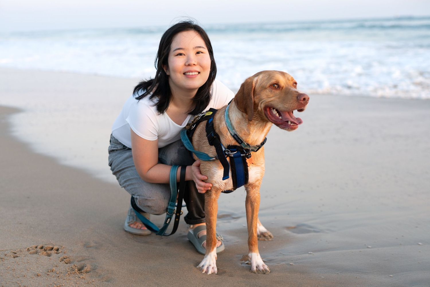 Pet photography by The Iconic Photograph. Huntington Beach