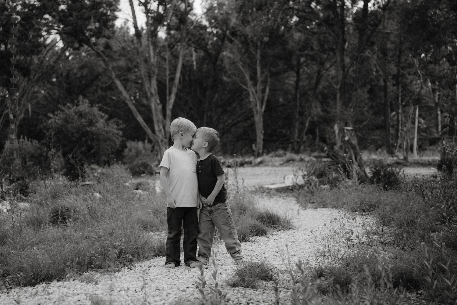 A black and white photo series shows a couple walking along a tree-lined pathway toward a distant horizon.